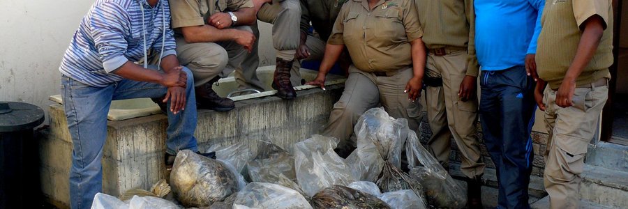 Vlnr: Insp Buys, Snr Insp Leonard, Snr Insp Louw, Insp Madumane, Insp Nkeleni, Insp Baadjies, Hoof Insp Mmereki en Insp Busch